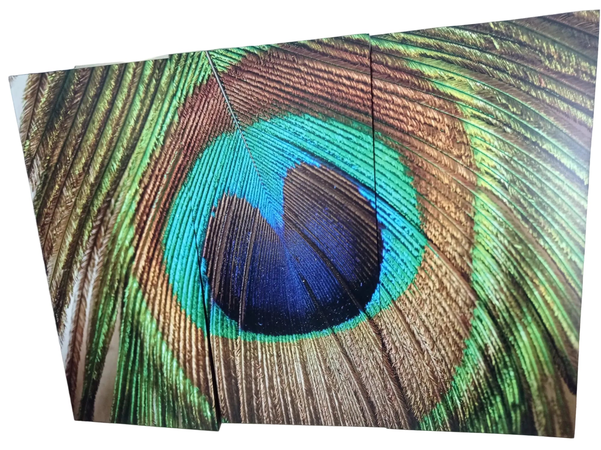 Cuadro Decorativo Tríptico Pluma de Pavo Real