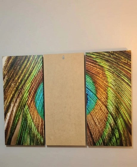 Cuadro Decorativo Tríptico Pluma de Pavo Real