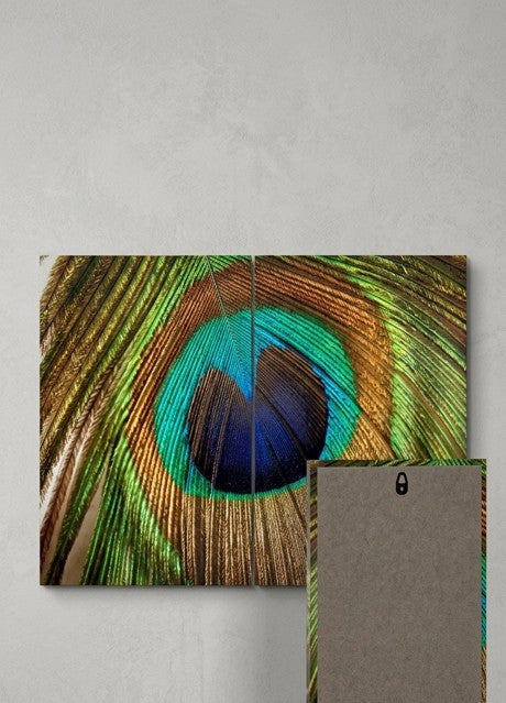 Cuadro Decorativo Tríptico Pluma de Pavo Real
