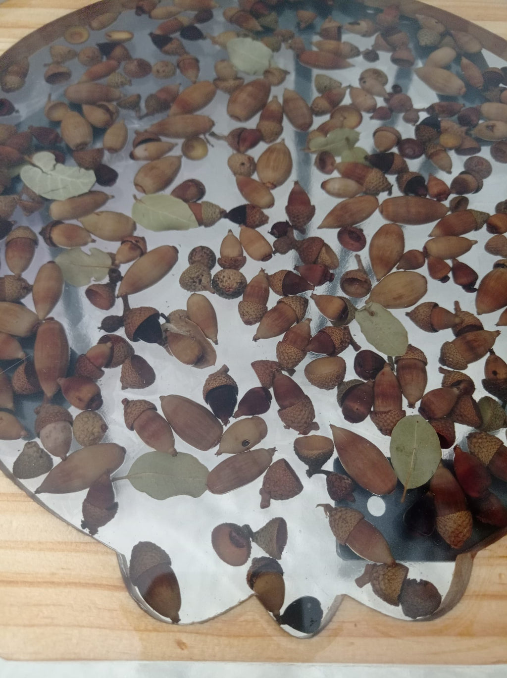 🌿 Table Basse Artisanale — Résine, Glands et Bois de Pin Naturel | Faite à la Main